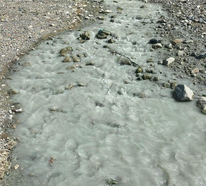 YALOVA’NIN ÇINARCIK İLÇESİNE BAĞLI