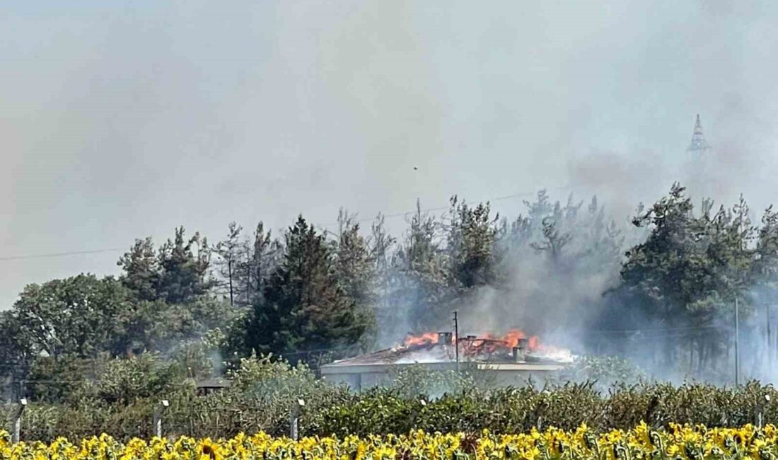 BURSA'NIN NİLÜFER İLÇESİNE BAĞLI