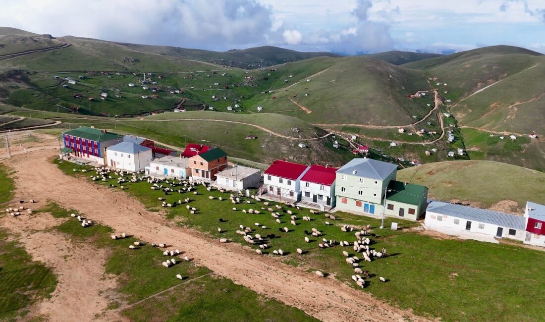 DOĞU KARADENİZ BÖLGESİ’NDE SON