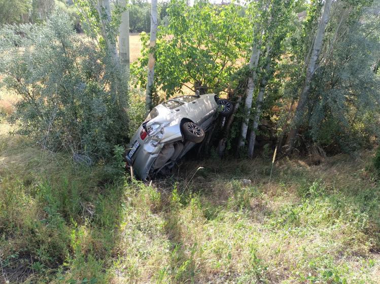 Yola çıkan köpek kazaya sebep oldu: 1 yaralı