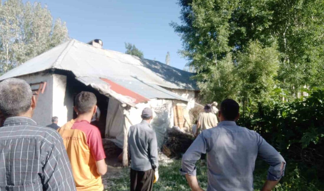 HAKKARİ’NİN YÜKSEKOVA İLÇESİNDE ÇIKAN