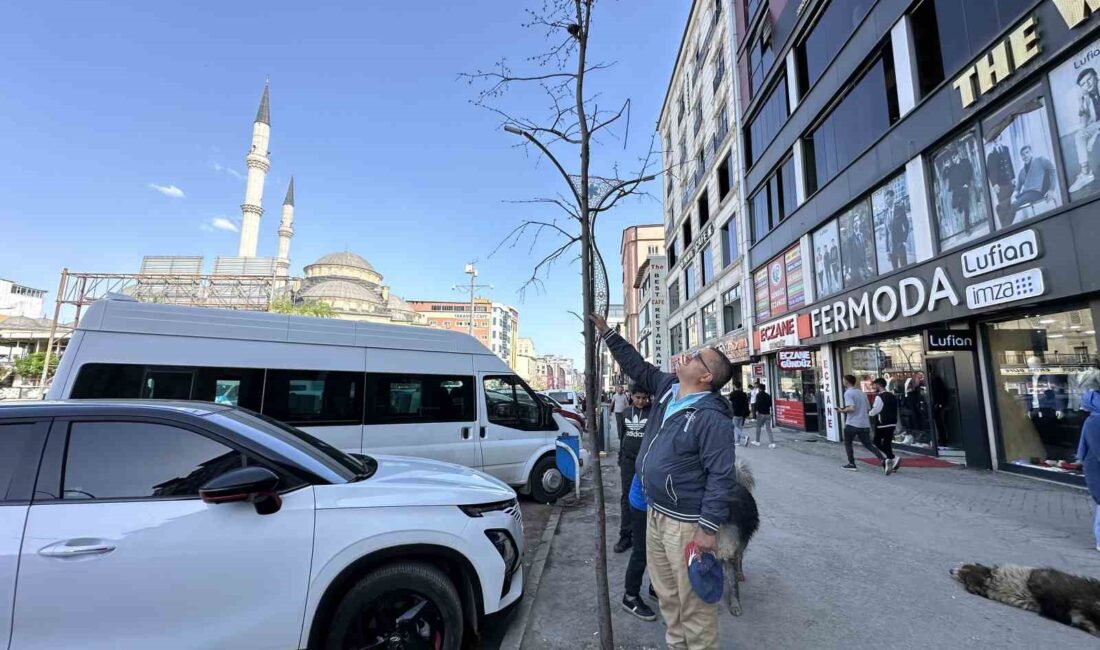 HAKKARİ’NİN YÜKSEKOVA İLÇESİNDEKİ CENGİZ