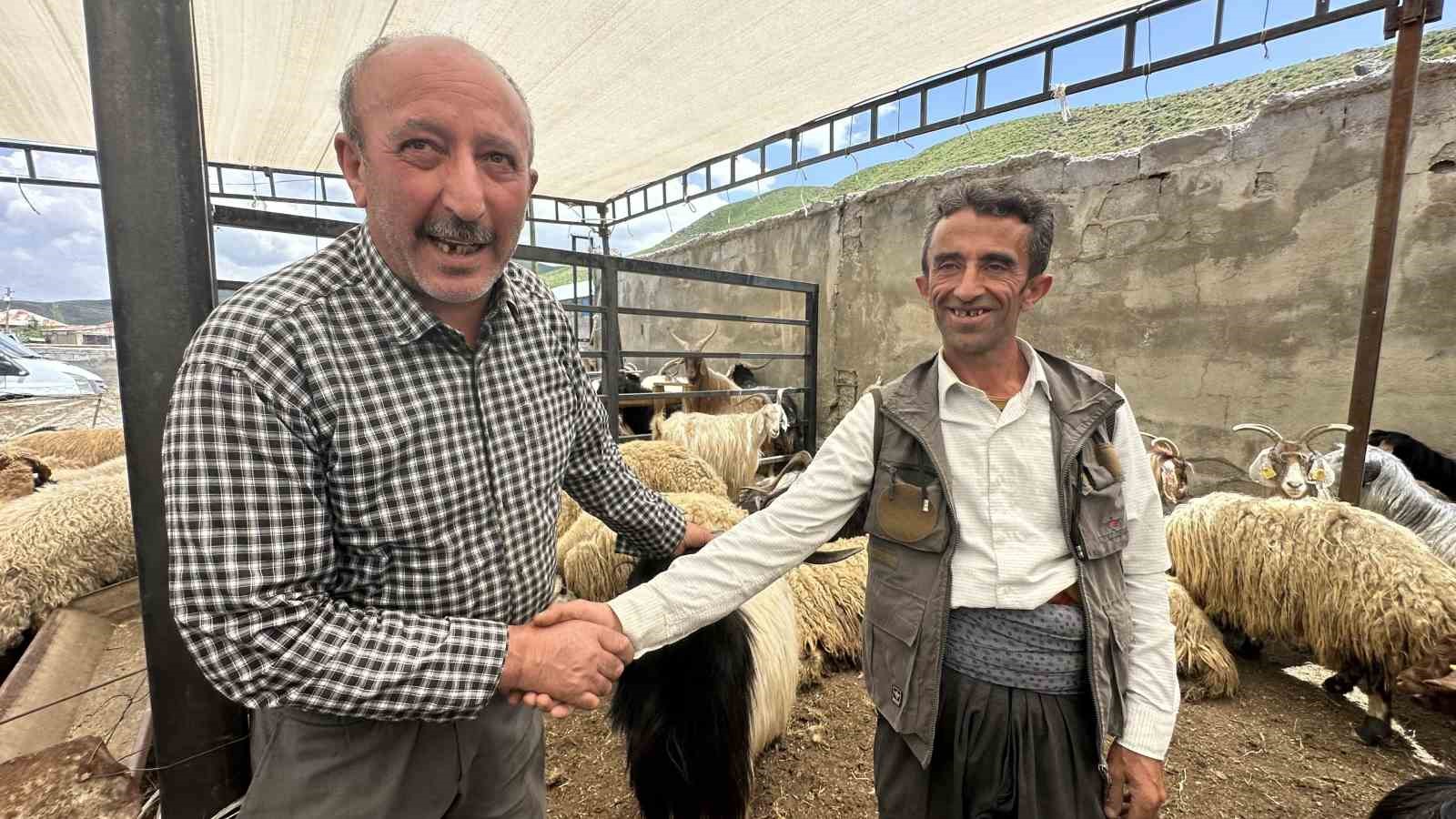 Yüksekova’da kurbanlıklar görücüye çıktı