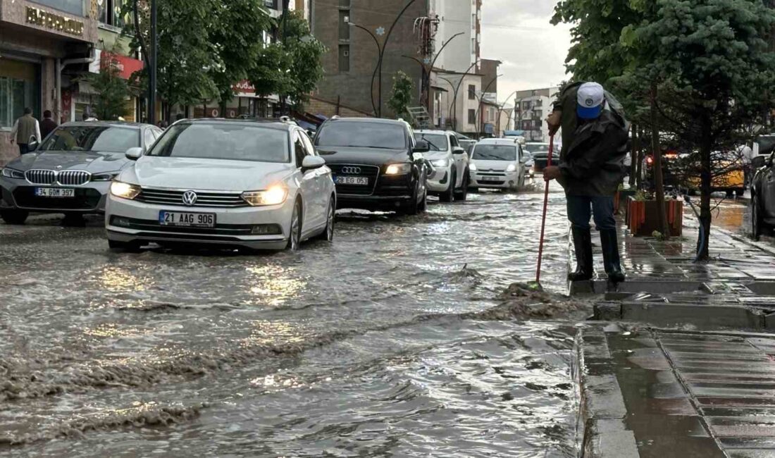 HAKKARİ'NİN YÜKSEKOVA İLÇESİNDE ANİDEN