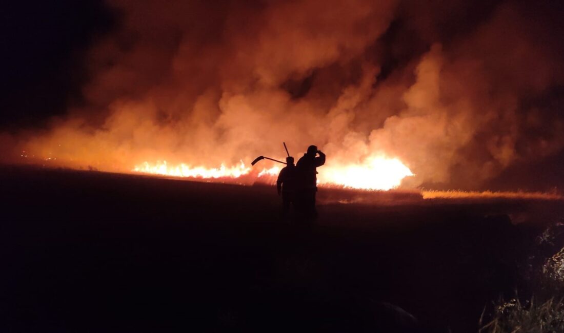 ŞANLIURFA’DA ÇIKAN YANGINDAN YÜZLERCE