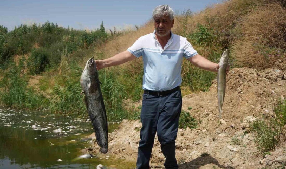 İLHAN DÜZEN AÇIKLAMALARDA BULUNDU