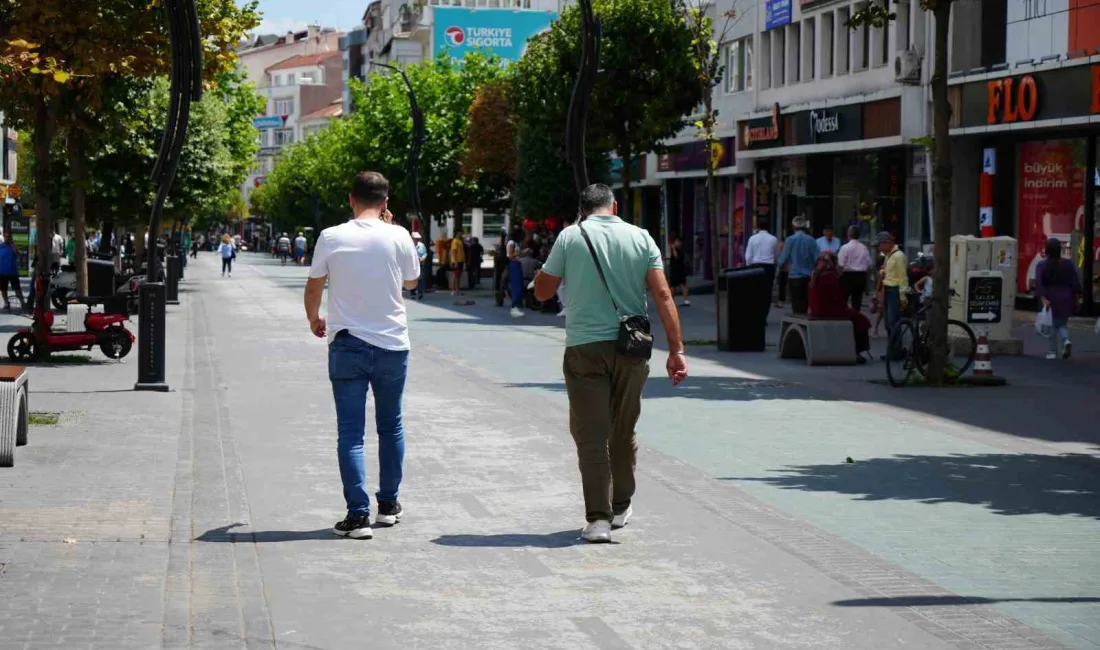 BOLU’DA YERE ÇEKİRDEK KABUĞU,