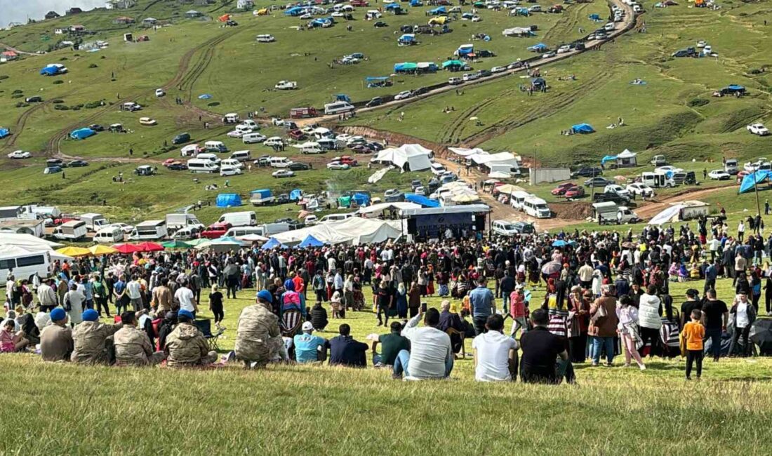 TRABZON'UN ŞALPAZARI İLÇESİNİN SİS