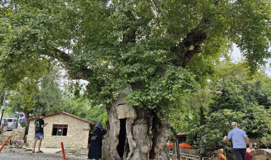 HATAY'IN SAMANDAĞ İLÇESİNDE BULUNAN,