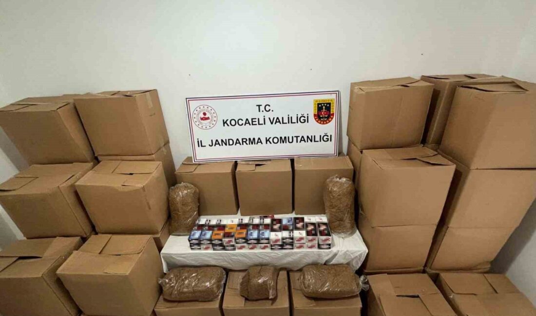 KOCAELİ'DE POLİS VE JANDARMA