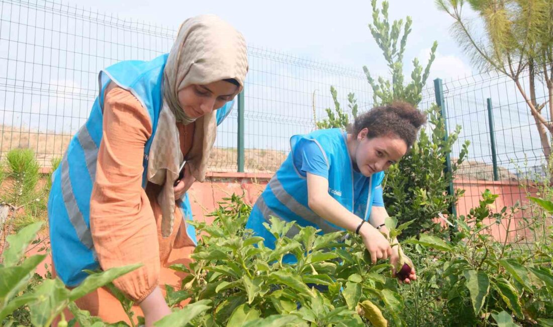 BAHÇESİNDE EKİLEN TARIM ÜRÜNLERİNDEN