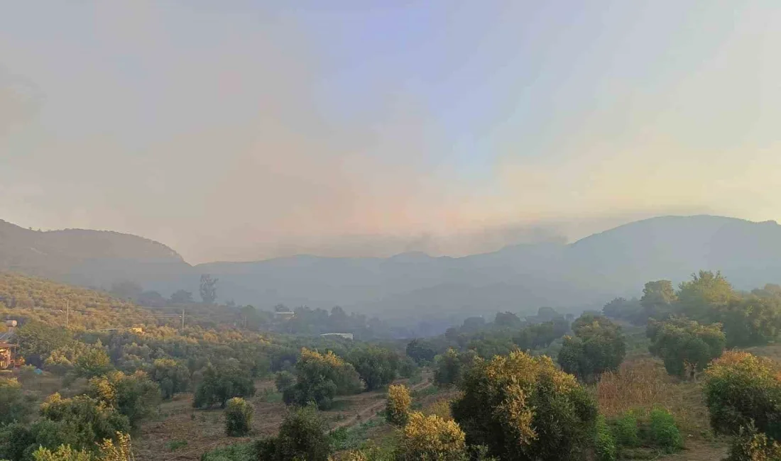 ADANA'NIN KOZAN İLÇESİNDE KÖŞELİ