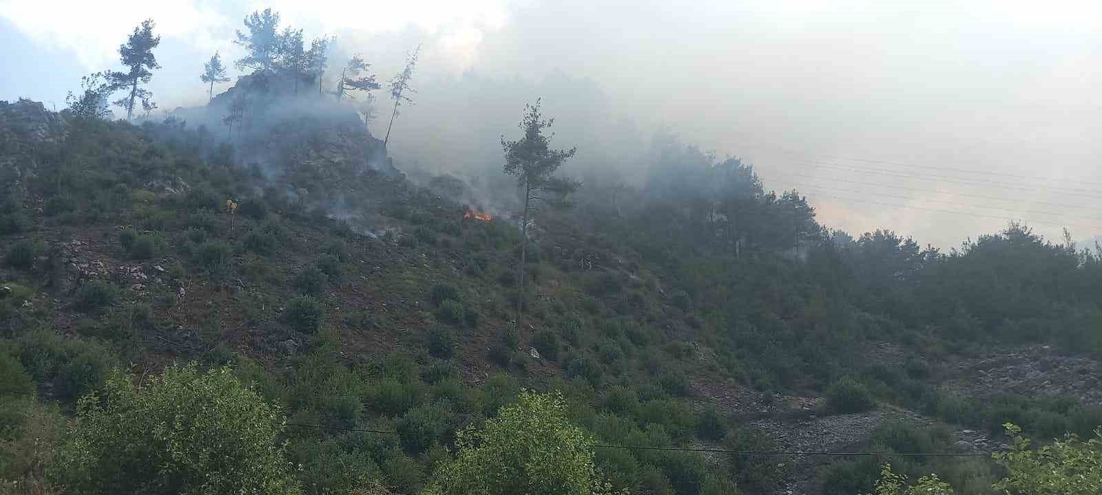 Adana’da orman yangını