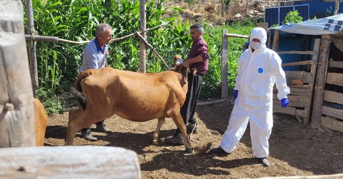 ADANA’NIN FEKE İLÇESİNE BAĞLI