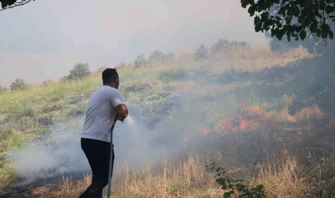 ADANA'NIN KOZAN İLÇESİNDE ÇIKAN