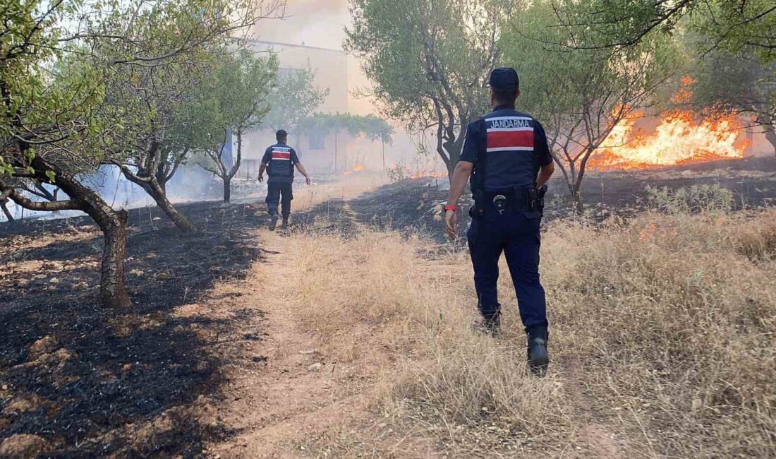 ADIYAMAN'DA ÖRTÜ YANGINI ORMANLIK