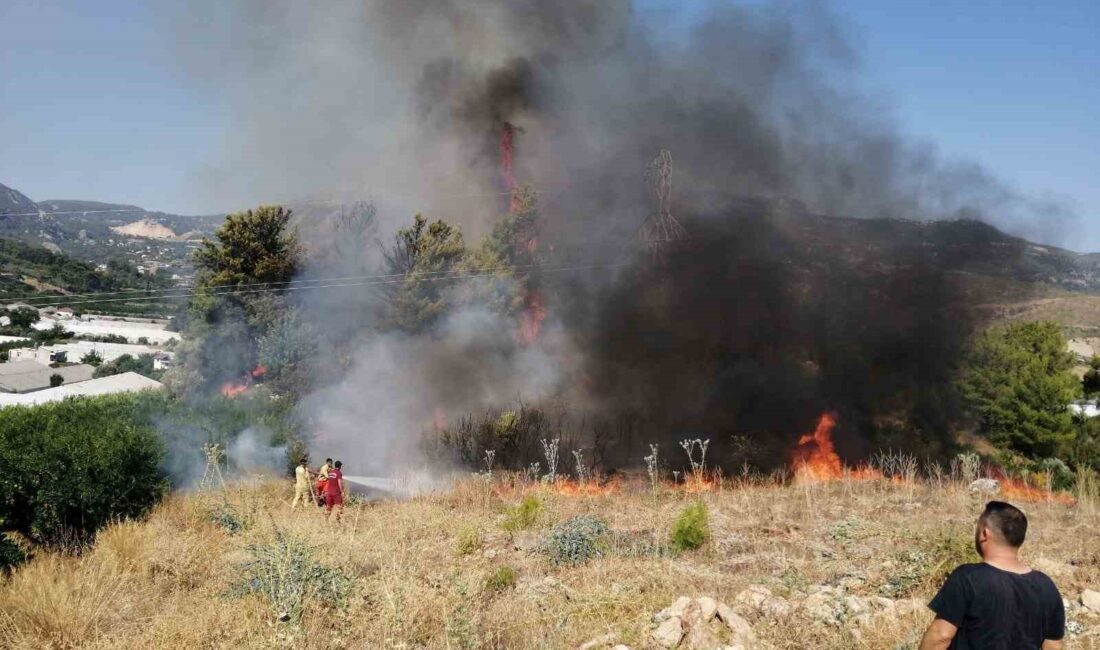 ANTALYA’NIN KUMLUCA İLÇESİNDE ÇIKAN