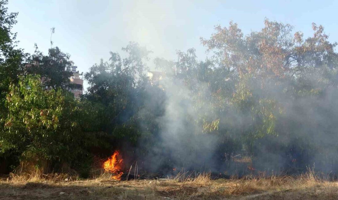 ANTALYA’DA APARTMANLARIN YAKININDA BULUNAN