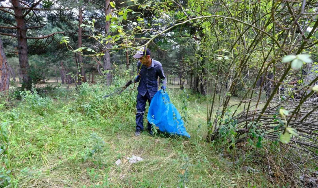 AKDAĞMADENİ’NDE ORMANLIK ALANLAR TEMİZLENİYOR