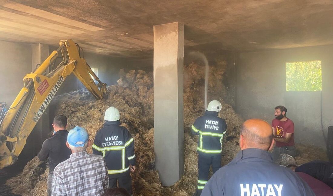 HATAY'DA SAMANLIKTA ÇIKAN YANGIN