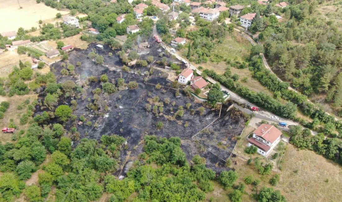 OLAY İLÇEYE BAĞLI KADIBÜKÜ