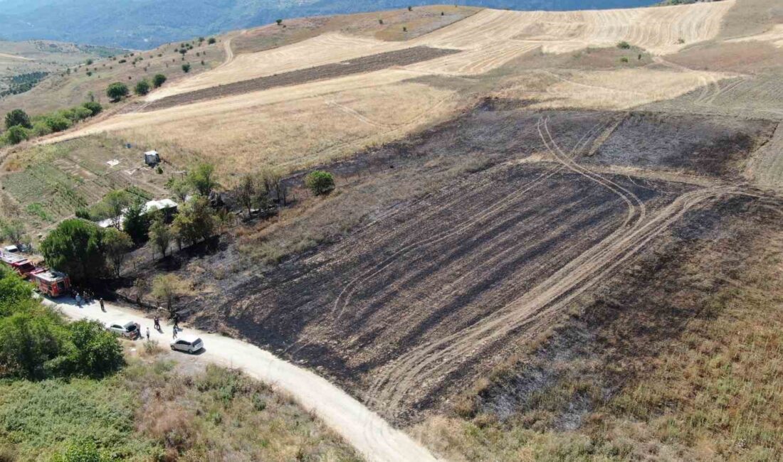 KARABÜK’TE ÇIKAN ANIZ YANGINI