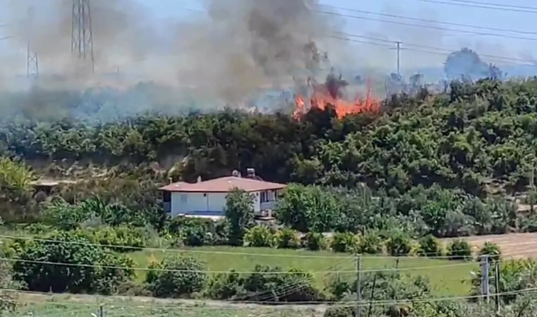 ANTALYA’NIN ÇEŞİTLİ NOKTALARINDA PEŞ