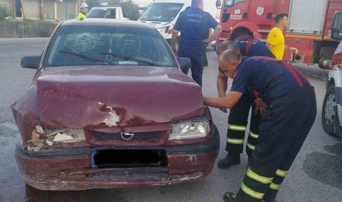 HATAY’IN ANTAKYA İLÇESİNDE 2