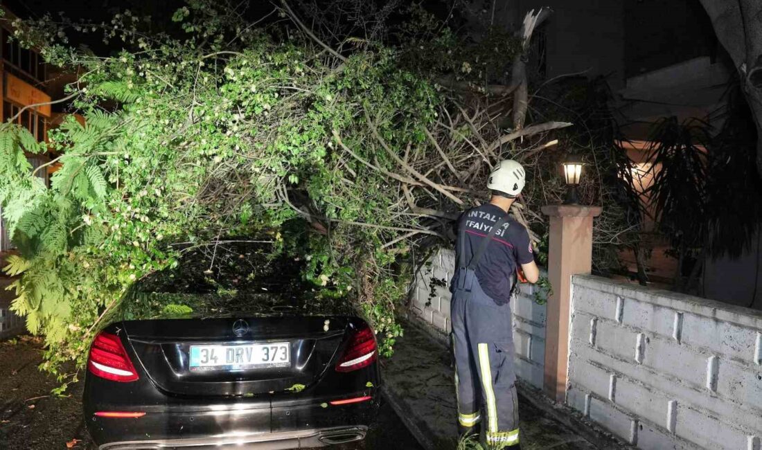 ANTALYA BÜYÜKŞEHİR BELEDİYESİ, KUVVETLİ