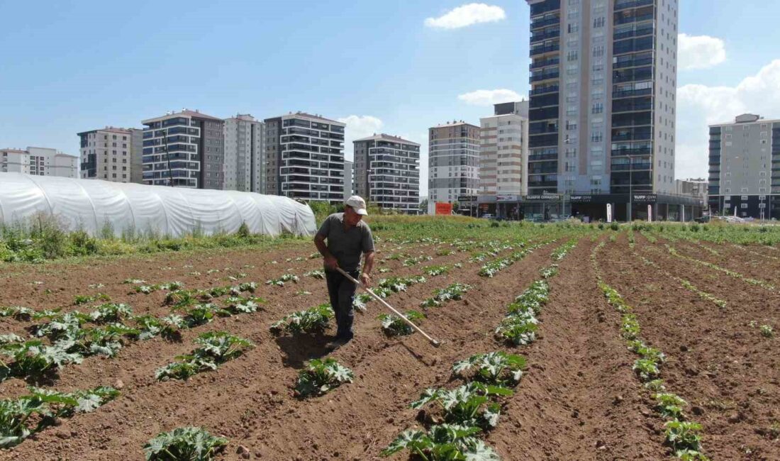 SİVAS’TA YAŞAYAN NECATİ BAŞARA,