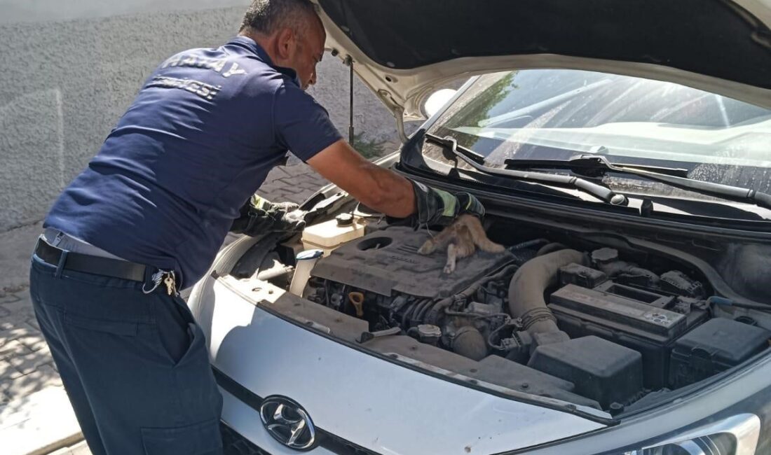 HATAY’DA ARAÇ MOTORUNA SIKIŞAN