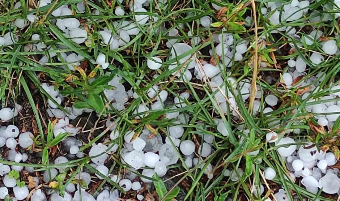 ARDAHAN'IN POSOF İLÇESİNDE SAĞANAK