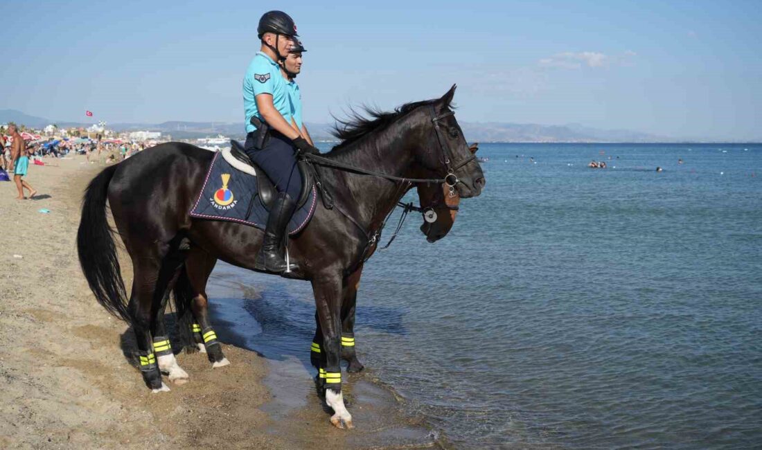 BALIKESİR'İN AYVALIK İLÇESİNİN DÜNYACA