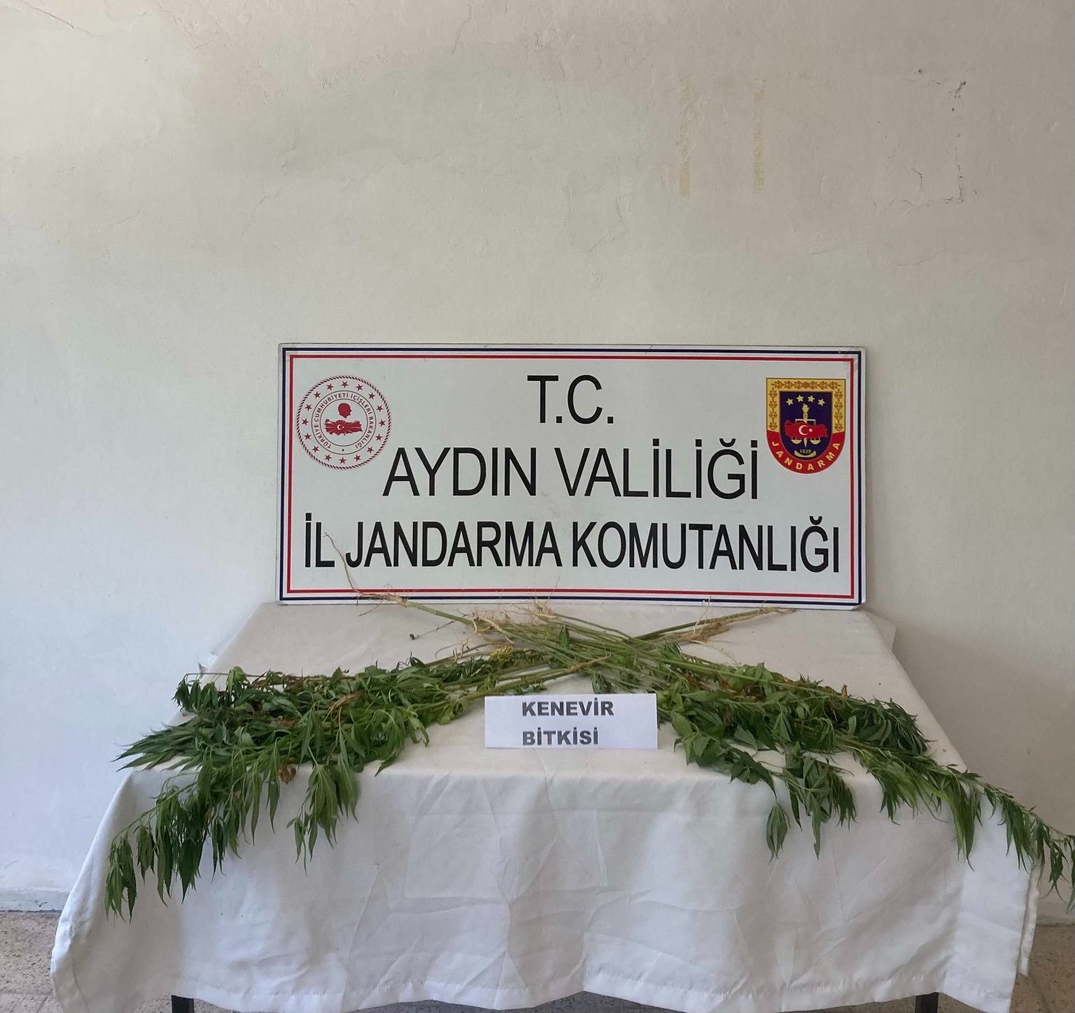 Aydın’da jandarma ekipleri uyuşturucuya geçit vermiyor