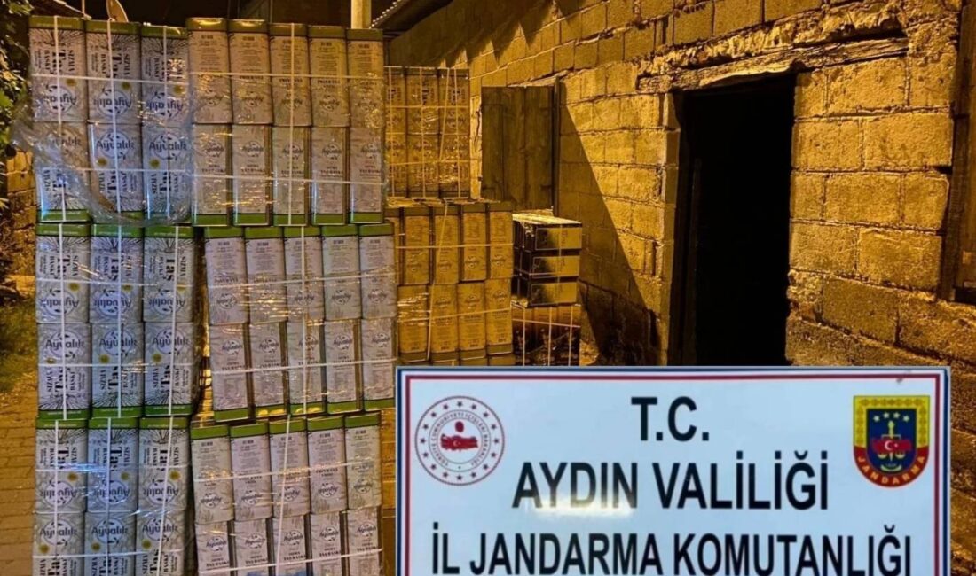 AYDIN'IN KÖŞK İLÇESİNDE JANDARMA