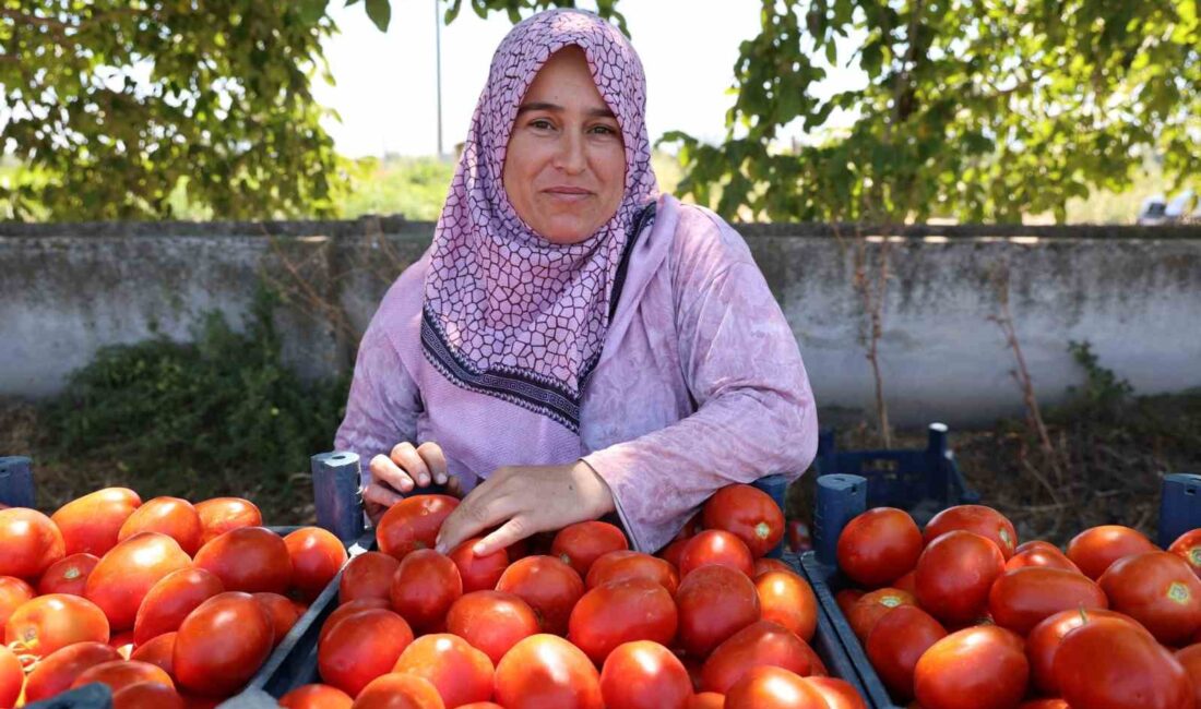 DOĞAL, SAĞLIKLI VE EKONOMİK