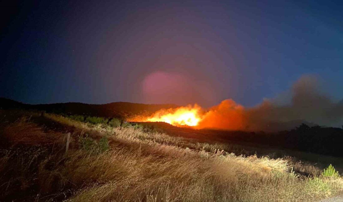 ÇANAKKALE'NİN AYVACIK İLÇESİNDE ORMANLIK