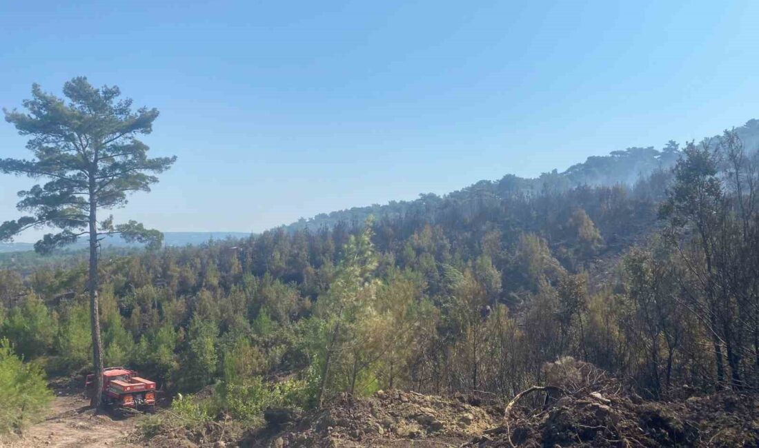 ÇANAKKALE'NİN AYVACIK İLÇESİNDE DÜN