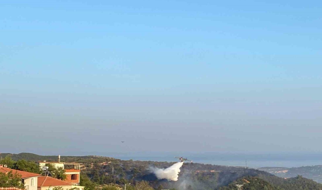 ÇANAKKALE'NİN AYVACIK İLÇESİNDE DÜN