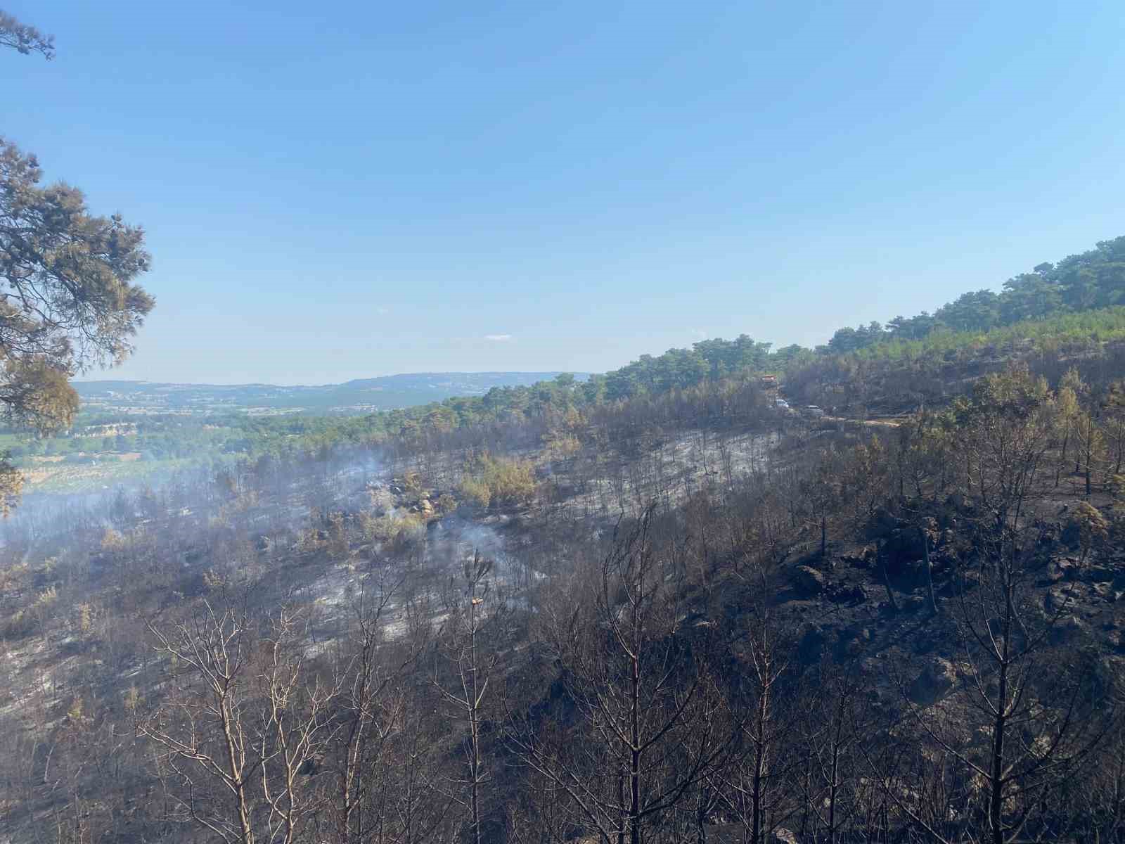 Ayvacık’taki orman yangınını kontrol altına alma çalışmaları devam ediyor