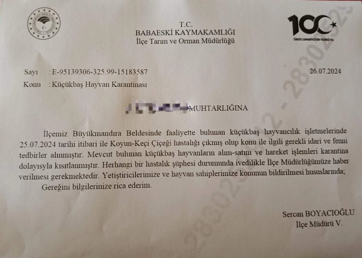 Babaeski’de küçükbaş hayvanlarda çiçek hastalığına rastlandı