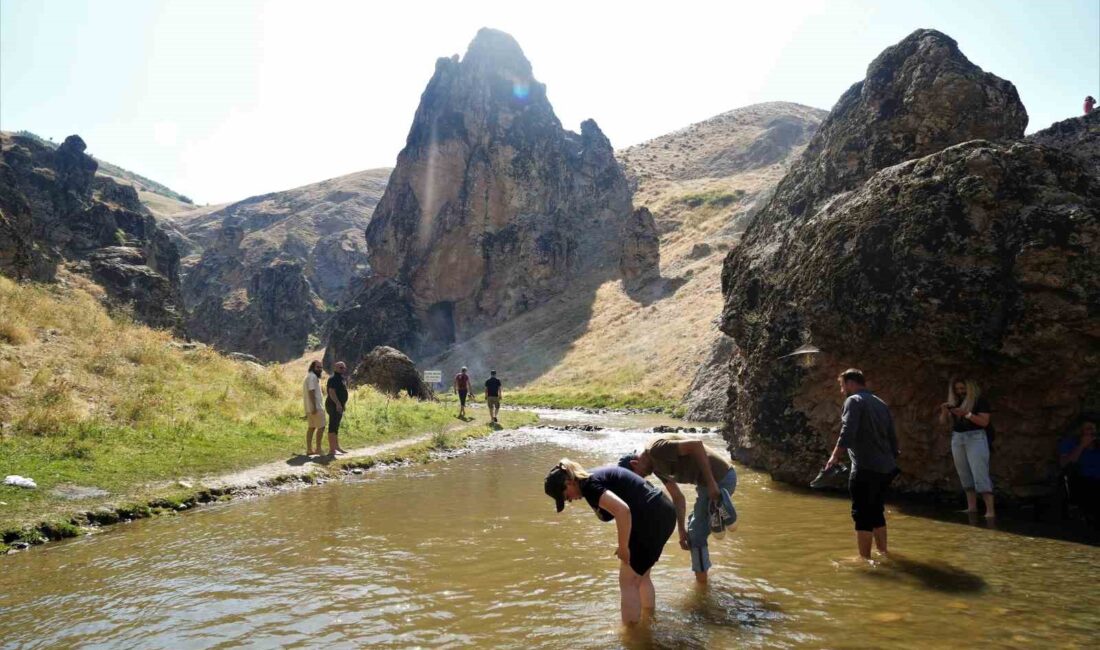 MUŞ’UN DOĞAL GÜZELLİKLERİ VE