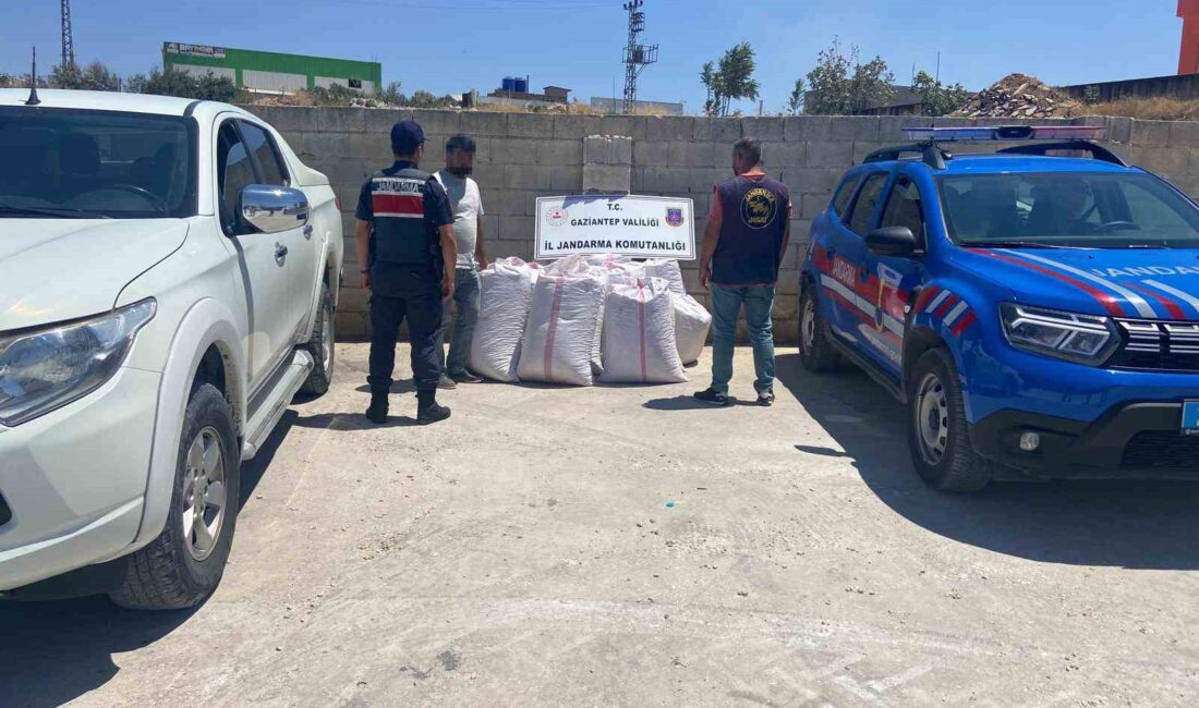 GAZİANTEP'TE BABASININ FISTIK BAHÇESİNDEN