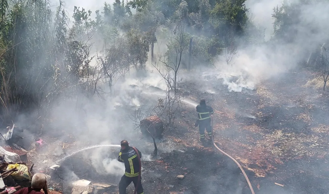 HATAY’IN ANTAKYA İLÇESİNDE ÇIKAN