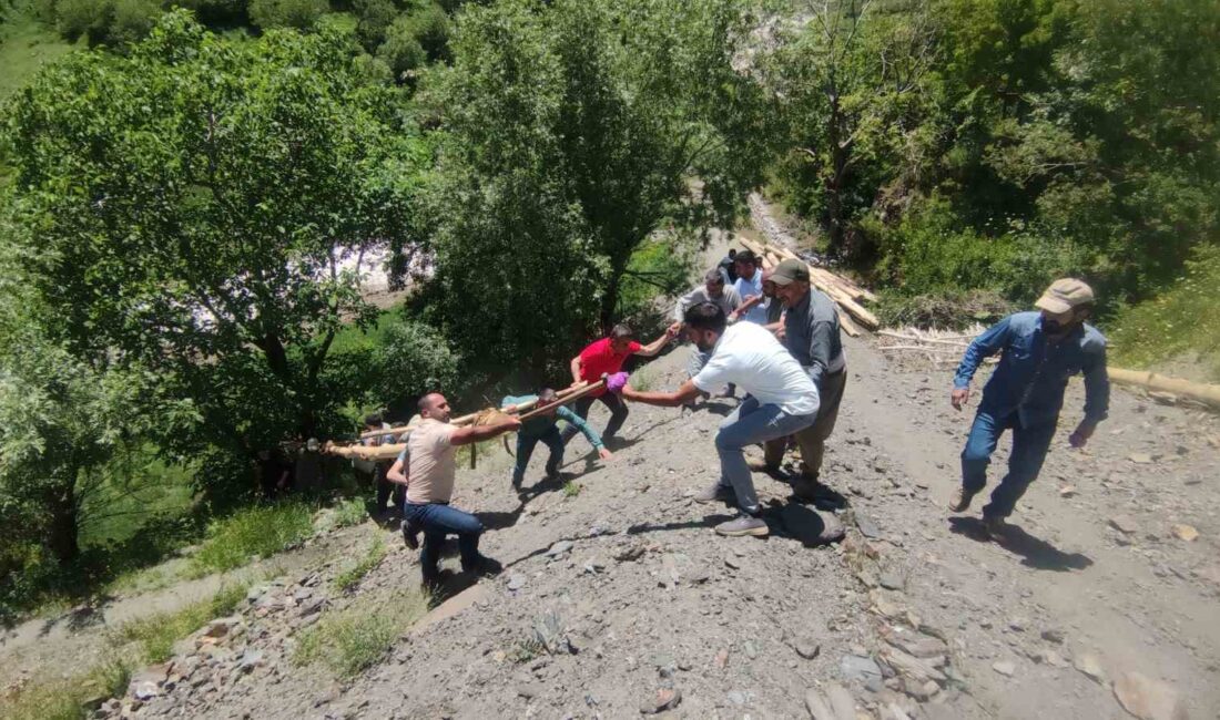 VAN'IN BAHÇESARAY İLÇESİ SAKİNLERİ,