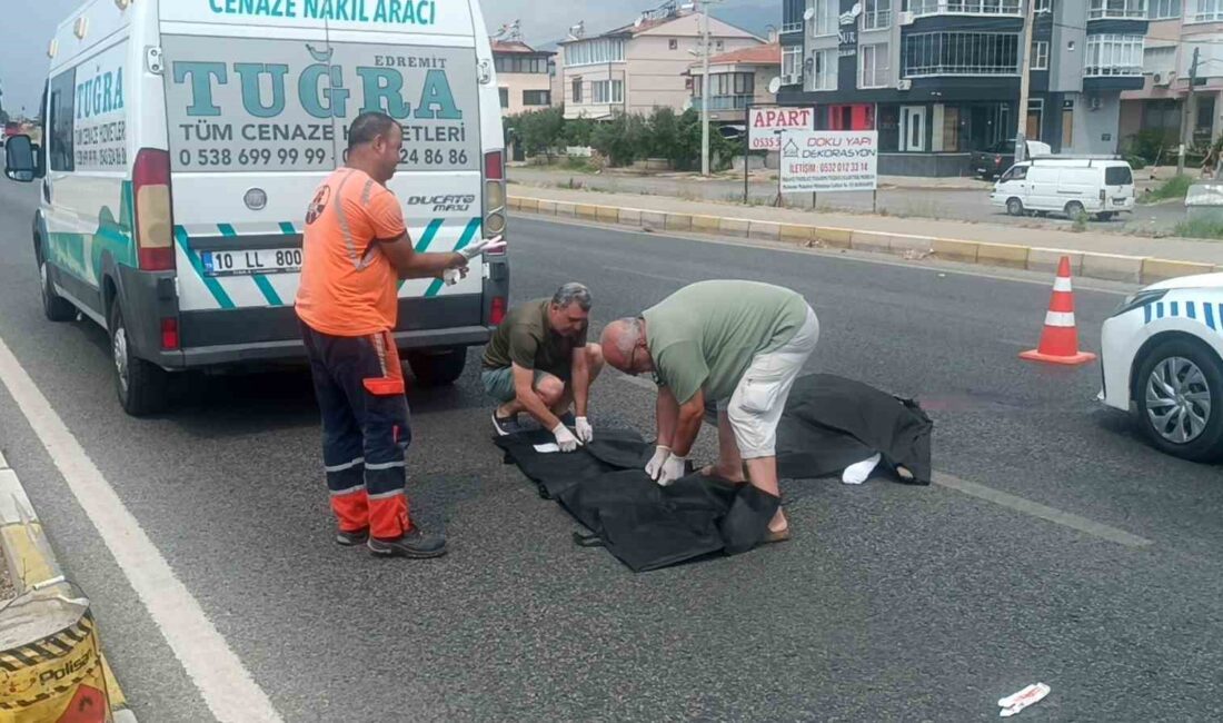 BALIKESİR’İN EDREMİT İLÇESİNDE YOLUN