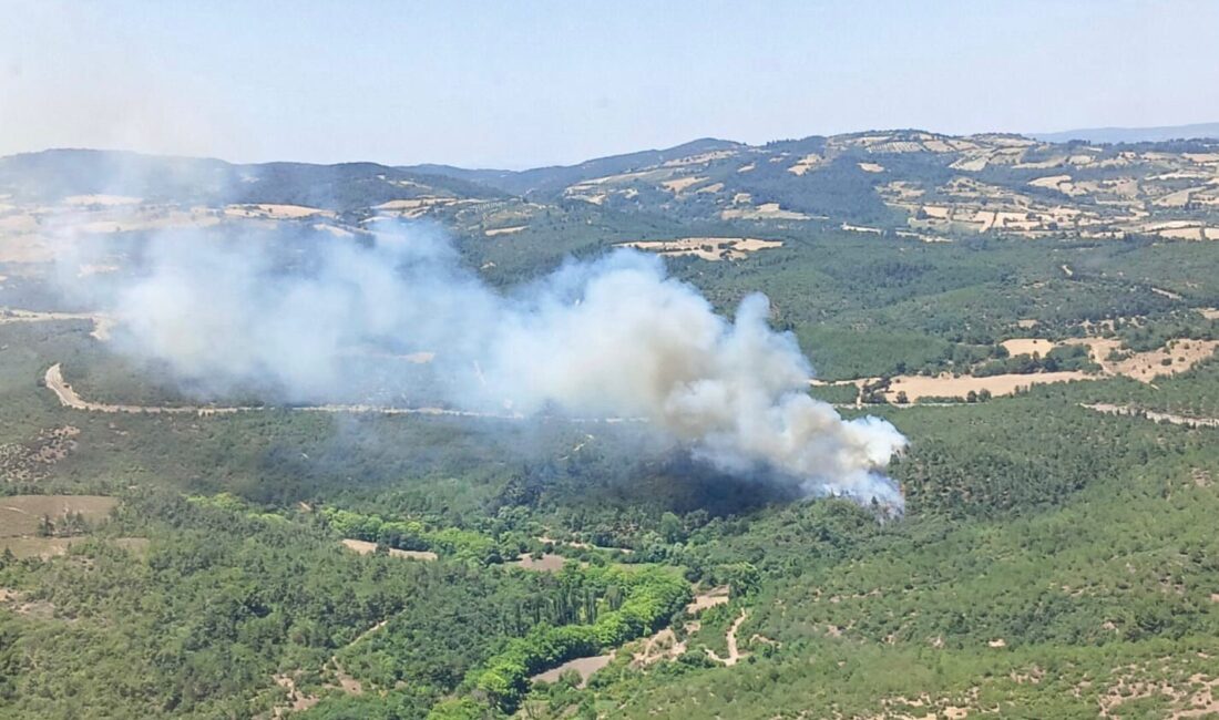 ALTIEYLÜL İLÇESİNE BAĞLI KIRSAL