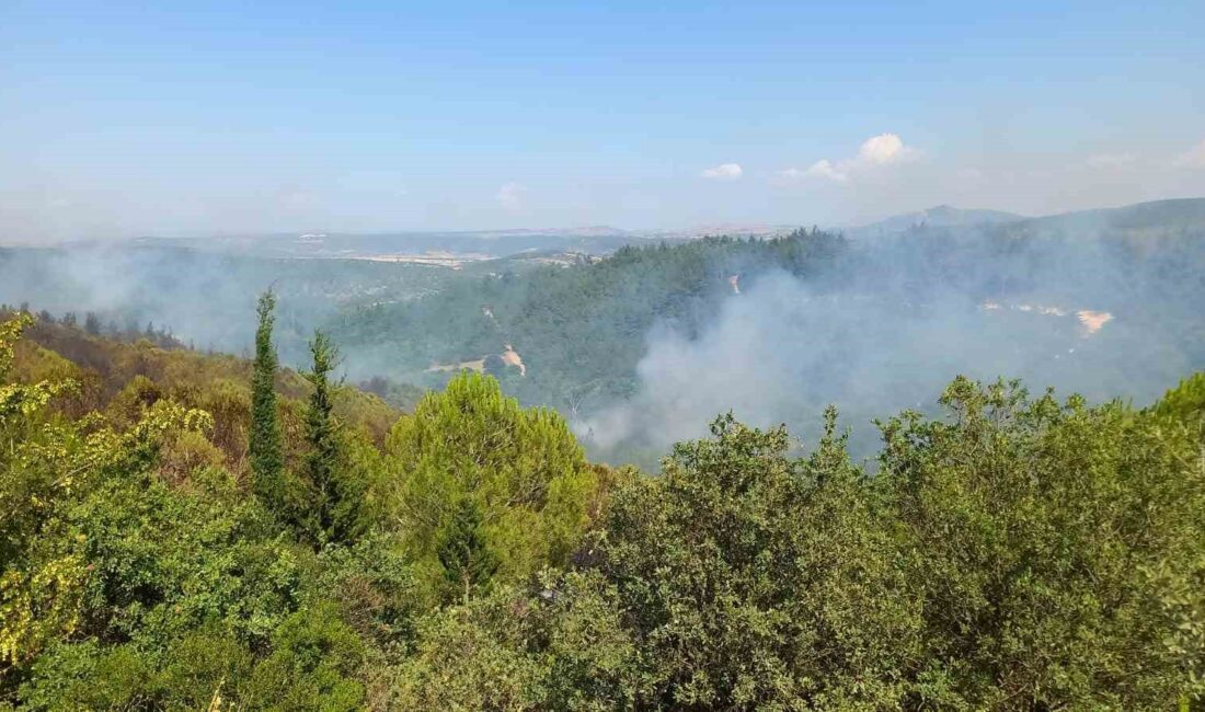 BALIKESİR’DEKİ ORMAN YANGINLARI DEVAM