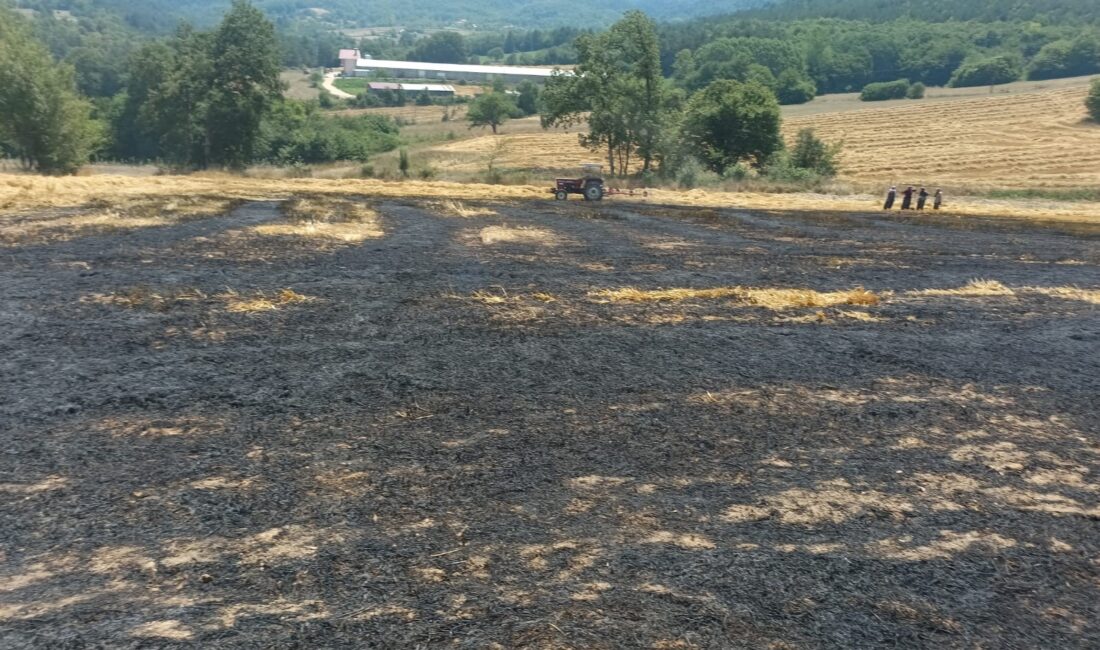 BOLU’DA SAÇCILAR KÖYÜNDE BALYA