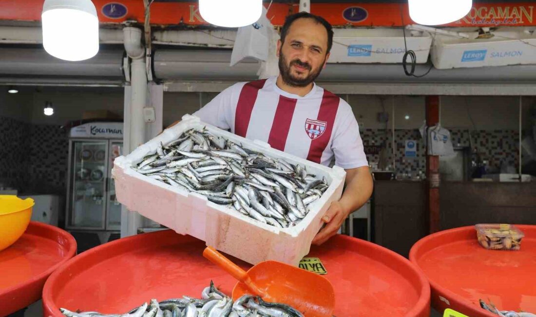 BALIKESİR'İN BANDIRMA İLÇESİNDE, BALIKESİR